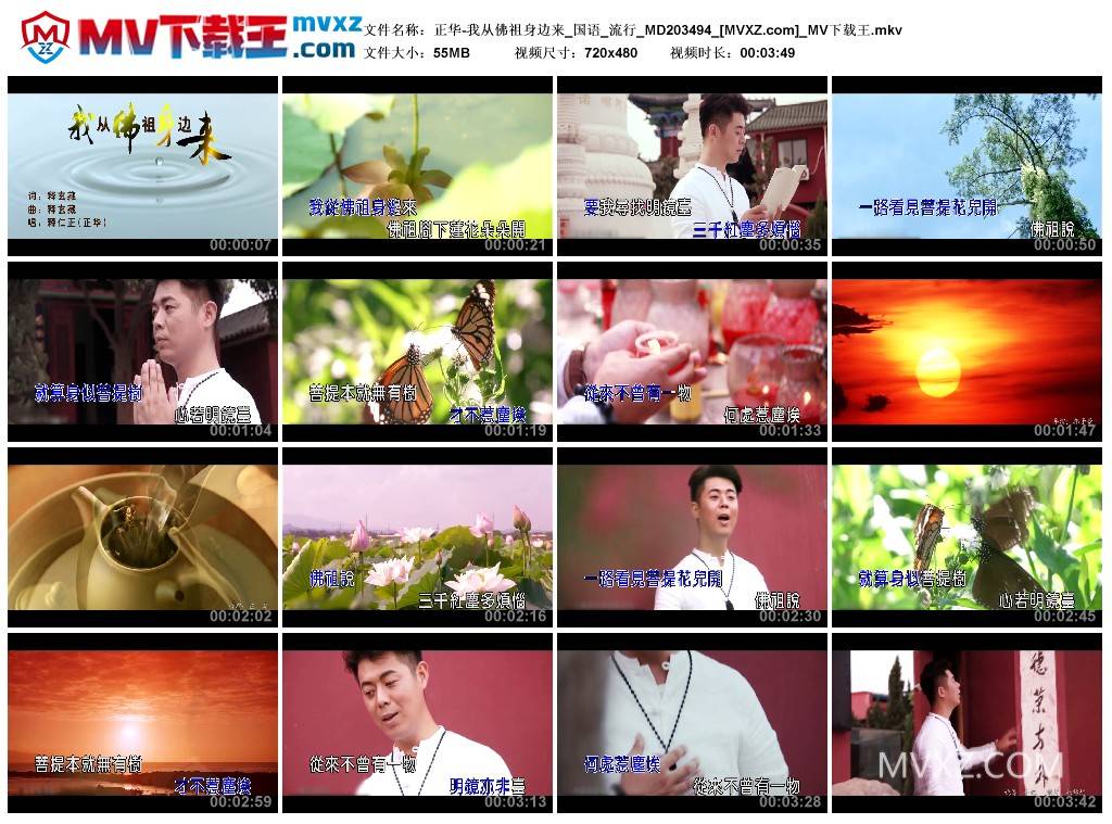 正华-我从佛祖身边来_国语_流行_MD203494